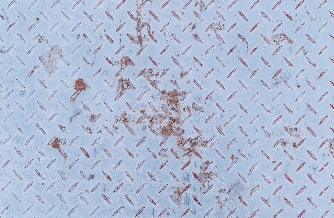 brown and black ant on white and black textile
