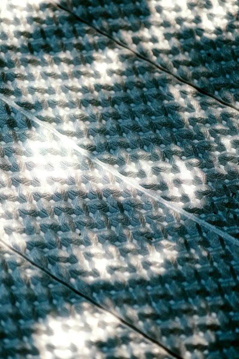 A black and white photo of a skateboard on the ground
