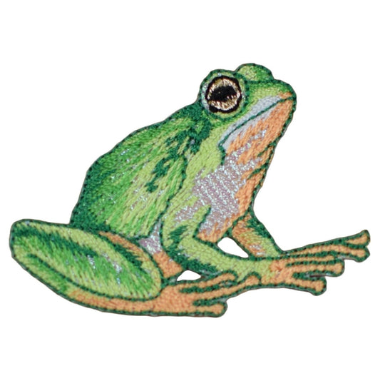 Frog Embroidered Patch — Shiny Amphibian Badge 2-3/8" — Iron On