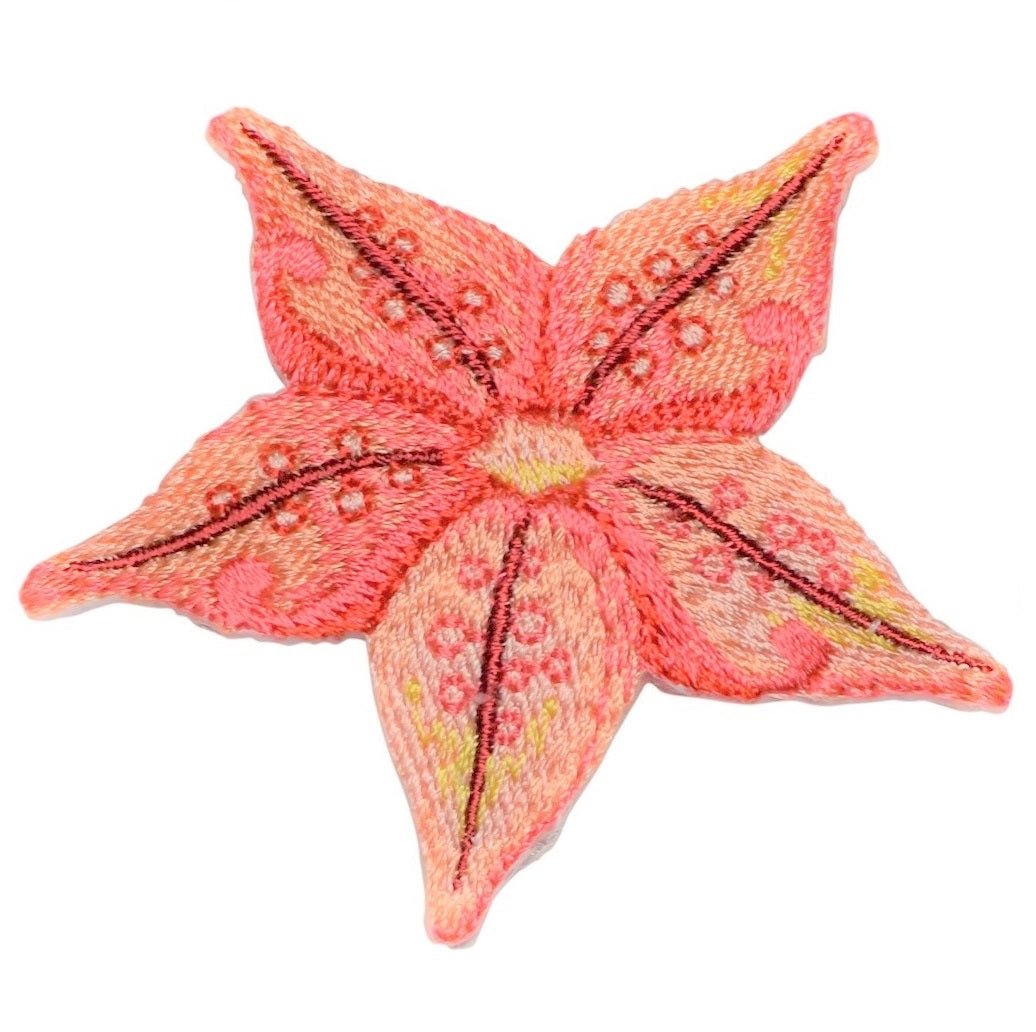 Starfish Embroidered Patch — Sealife, Ocean, Beach Badge 2.25" — Iron On