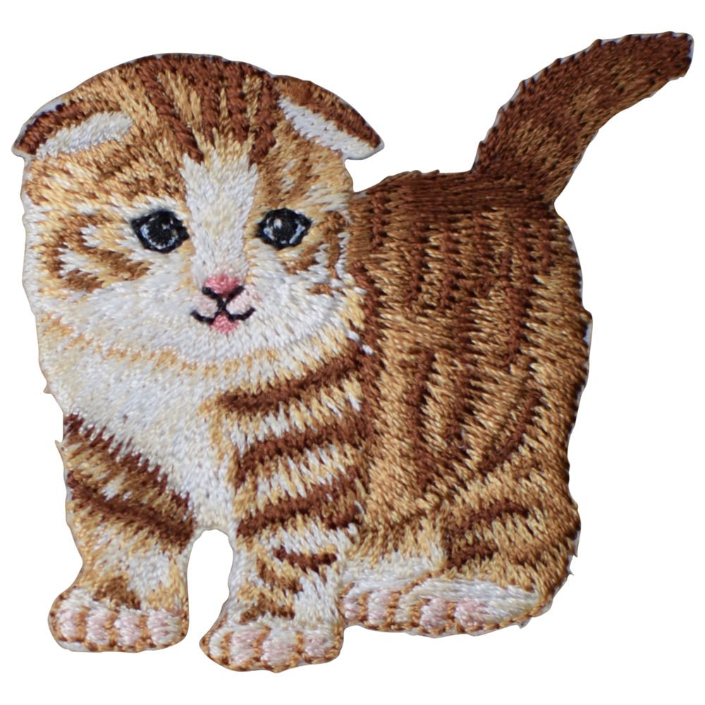Scottish Fold Cat Embroidered Patch — Iron On 2-1/8"