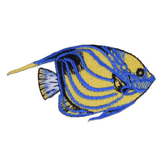 Blue-Ring Angelfish Embroidered Patch — Iron On 2.5"