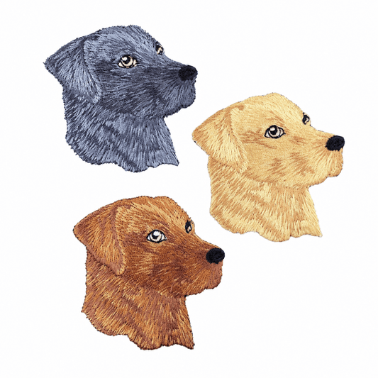 Complete three-patch Labrador head set on white