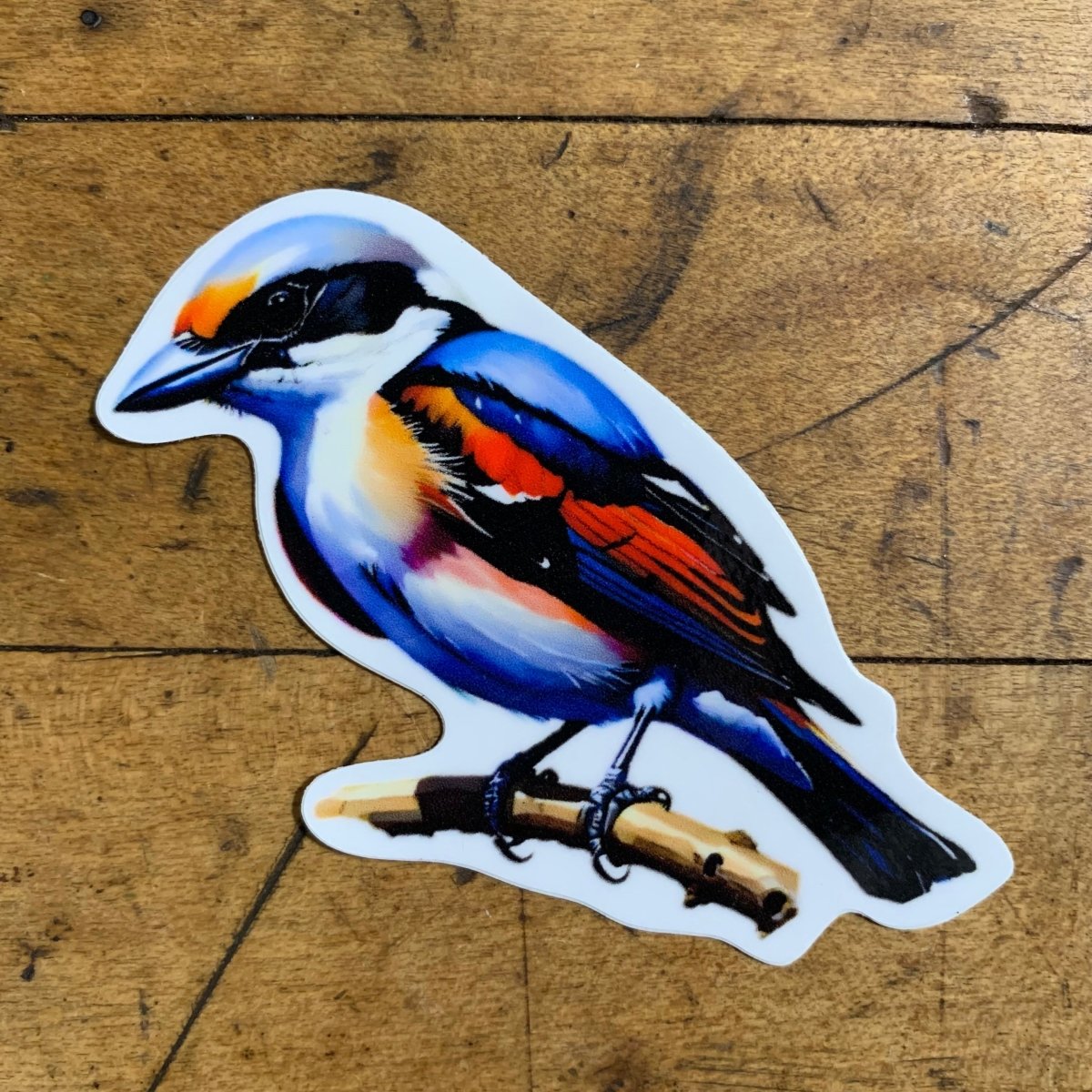 Logger Headed Shrike Bird Sticker - Colorful Majestic Animal Vinyl Decal 3" - view 2