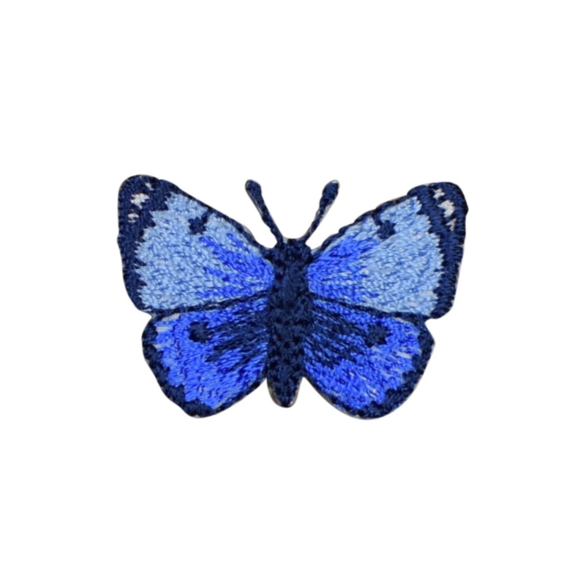 Blue butterfly patch on a white background