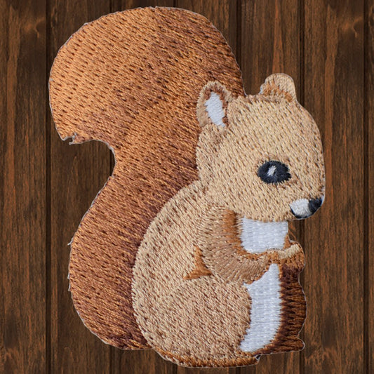 embroidered iron on sew on patch baby squirrel