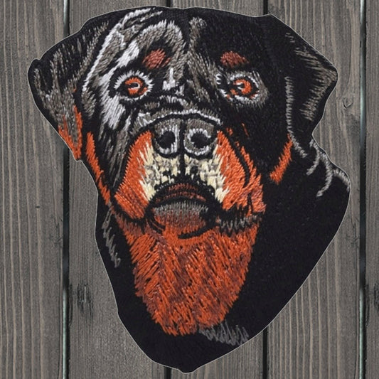 embroidered iron on sew on patch dog rottie rottweiler head