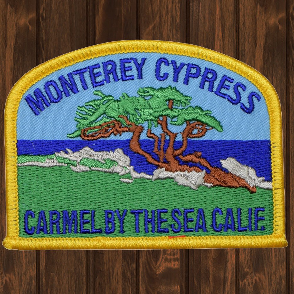 embroidered iron on sew on patch monterey cypress