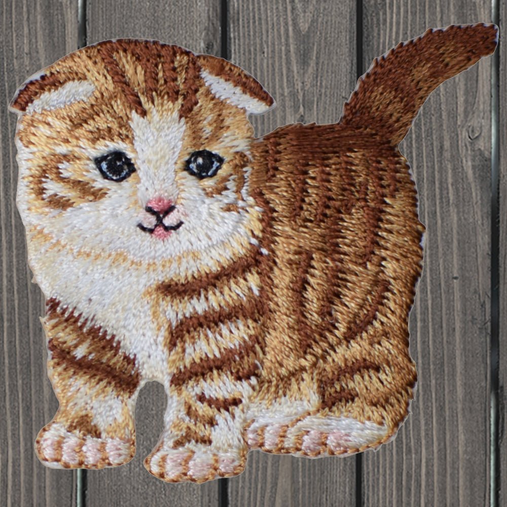 embroidered iron on sew on patch scottish fold cat