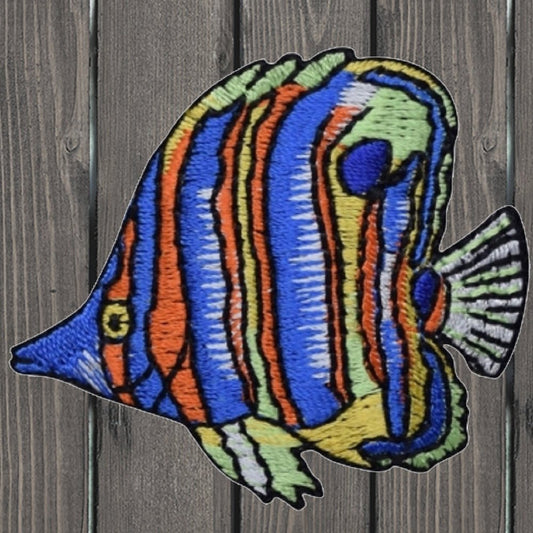 embroidered iron on sew on patch striped angelfish
